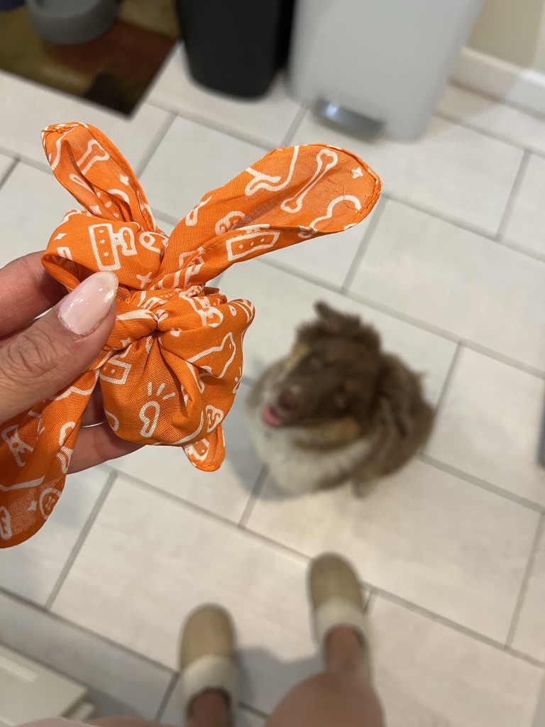 Raising a Puppy with a Senior Dog