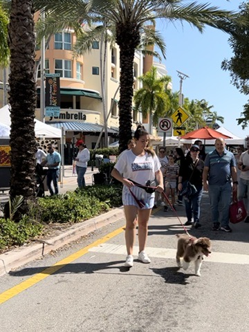 Raising a Puppy with a Senior Dog