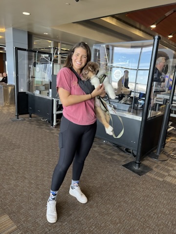 Raising a Puppy with a Senior Dog