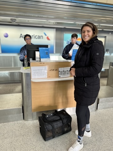 Raising a Puppy with a Senior Dog