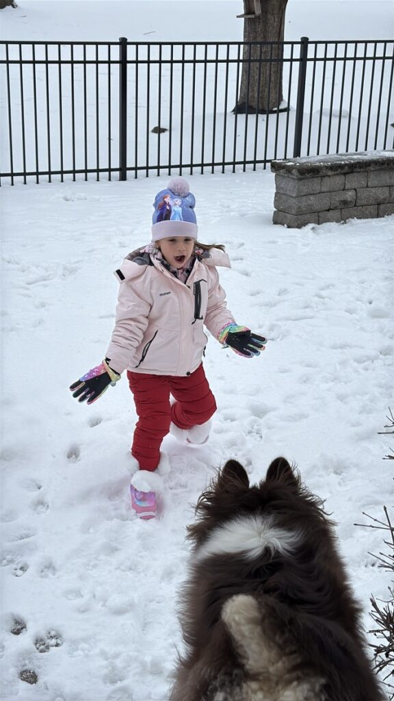 Raising a Puppy with a Senior Dog and kids