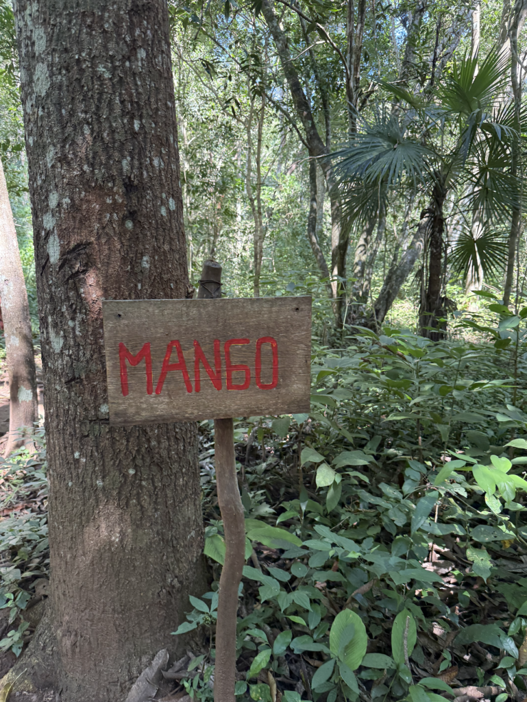 Walking the trails of the Biosfera in Huatulco, Oaxaca in Mexico, going to Cascadas