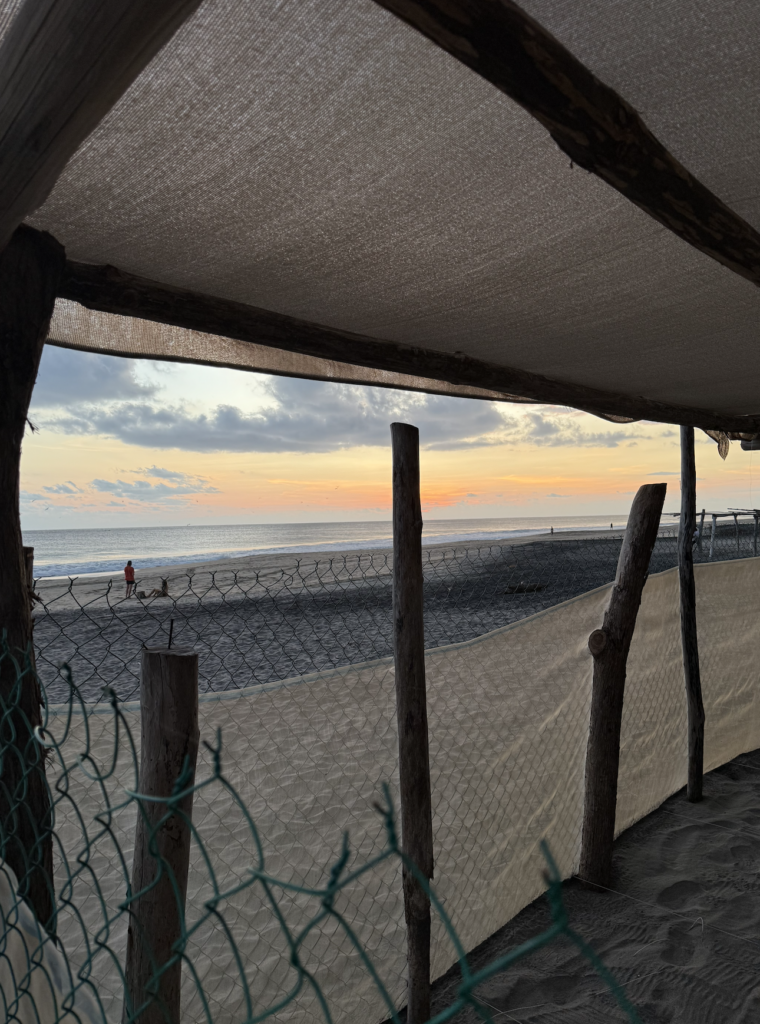 Ventanilla beach in Puerto Escondido, turtle liberation in Oaxaca, Mexico